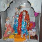 Vraj-Yatra-2014- (900)